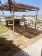 Top Vichayito