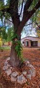 Casa de campo Alma Rural