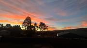 Top Bronte