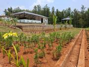 Top Sakleshpur