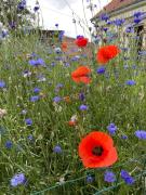 Top Issy-lʼÉvêque