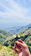 Top Mussoorie