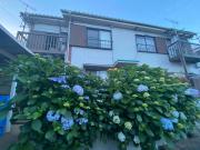 Top Kamagaya