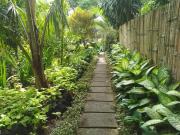 Top Ubud