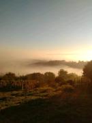 Top Zalaegerszeg