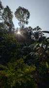 Top Munnar