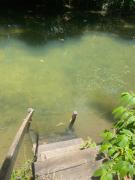 Top Bodoquena