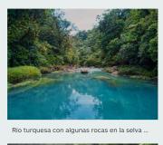 Top Rio Celeste