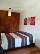 Árbol Paraíso y Terraza Mezquite