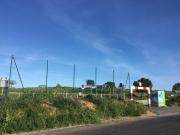 Top Marseillan