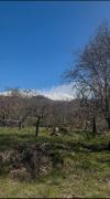 Top Ragalna