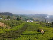 Top Ooty
