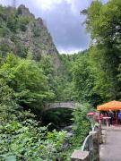 Top Bad Harzburg