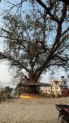 Top Changunarayan