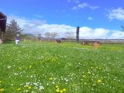 Top Dambach-la-Ville