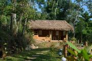 Top Vagamon