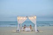 Top Da Nang