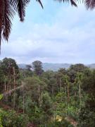 Top Madikeri