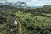 Top Phong Nha