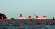 Top Barra Grande