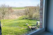 Top Nordstrand