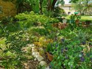 Maisonnette dans le marais poitevin