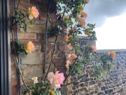 Top San Donato in Poggio