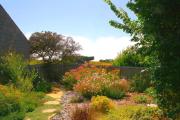Top Sea Ranch