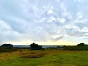 Top Sea Ranch