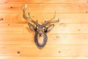 Top Sevierville