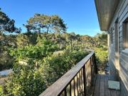 Top Lège-Cap-Ferret