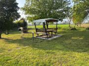 Top Romano D'Ezzelino