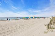 Top Myrtle Beach