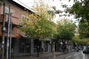 Top Tirana