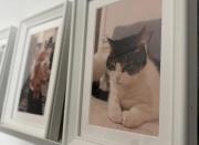 Central Brighton 1 Bedroom Apartment - Newly Refurbished, Walk to Beach