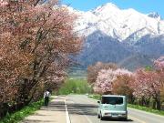 Top Furano