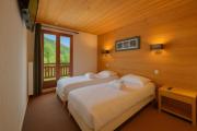 lOurs Bleu C11 - Ski in Ski out - Happy Rentals