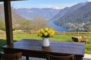 Top Faggeto Lario