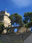 Top Tarascon