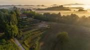 Top Ptuj