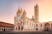Top Siena