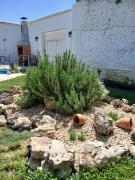 Top Casas de Haro