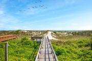 Top Oak Island