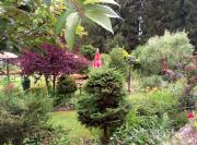 Top Lipno nad Vltavou