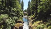 Top Washougal