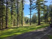 Top Washougal
