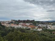 Top Silves