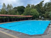 De Specht - Enjoyment in the forest