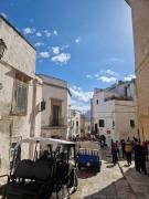 Villa Trinchera Luxury