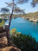 Top Islas Baleares